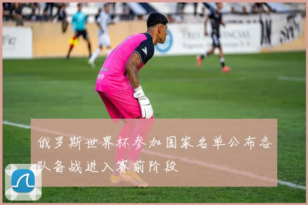 俄罗斯世界杯参加国家名单公布各队备战进入赛前阶段