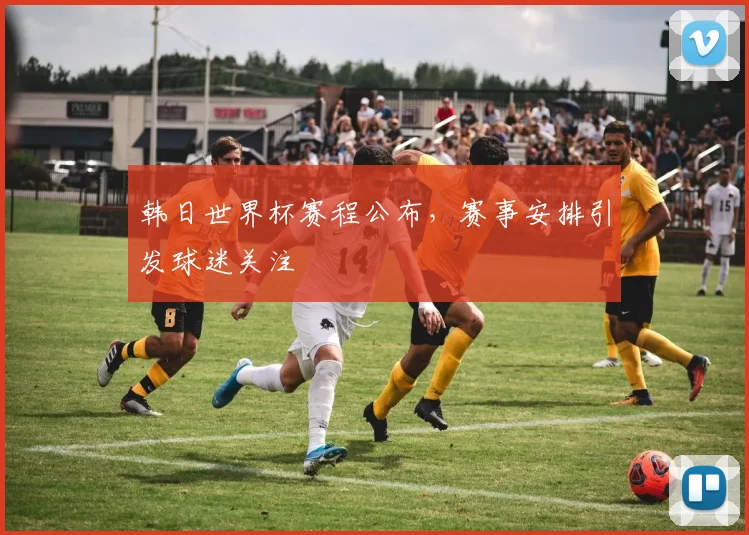 韩日世界杯赛程公布,赛事安排引发球迷关注