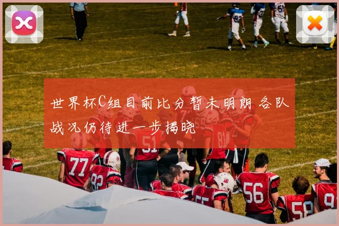世界杯C组目前比分暂未明朗 各队战况仍待进一步揭晓