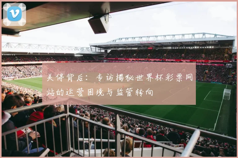 关停背后:专访揭秘世界杯彩票网站的运营困境与监管转向
